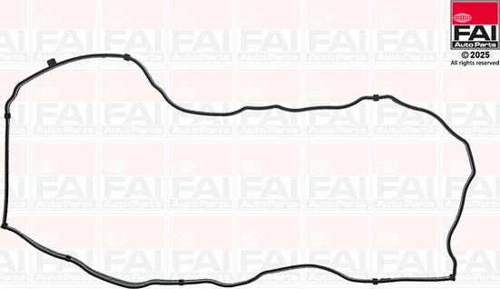 FAI AutoParts RC2400S - Прокладка, кришка головки циліндра autocars.com.ua