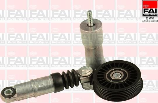 FAI AutoParts T1006 - Направляющий ролик, поликлиновый ремень autodnr.net