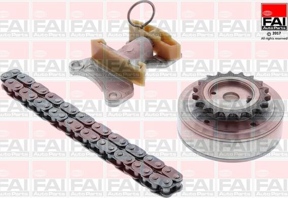 FAI AutoParts TCK124VVT - Комплект цепи привода распредвала avtokuzovplus.com.ua