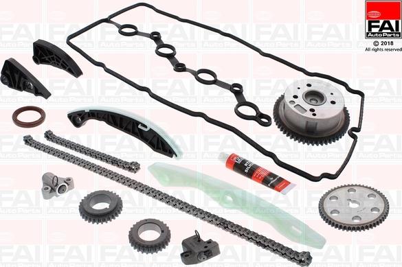 FAI AutoParts TCK254VVT - Комплект ланцюга приводу распредвала autocars.com.ua