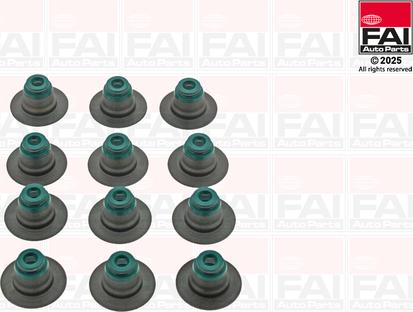 FAI AutoParts VSK1635 - Комплект прокладок, стержень клапана autocars.com.ua