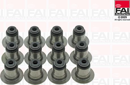 FAI AutoParts VSK2321 - Комплект прокладок, стержень клапана autocars.com.ua