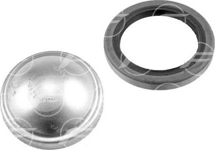 FARE 11643 - Ущільнююче кільце, сальник, маточина колеса autocars.com.ua