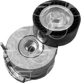 FARE 14306 - Натягувач ременя, клинові зуб. autocars.com.ua