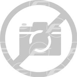 FARE 16737 - Покажчик рівня масла autocars.com.ua