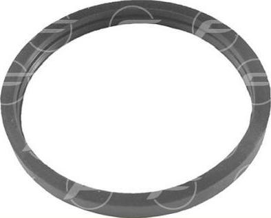 FARE 19913 - Прокладка, термостат autocars.com.ua