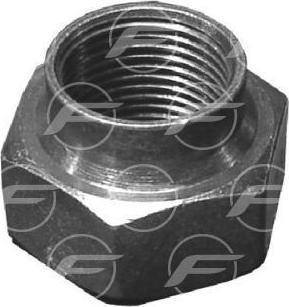 FARE 29699 - Гайка, шийка осі autocars.com.ua