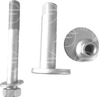 FARE 29835 - Болт регулювання розвалу коліс autocars.com.ua