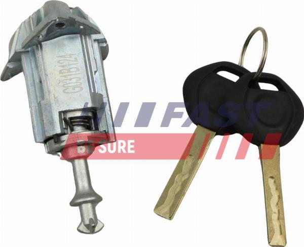 Fast FT00295 - Циліндр замка autocars.com.ua