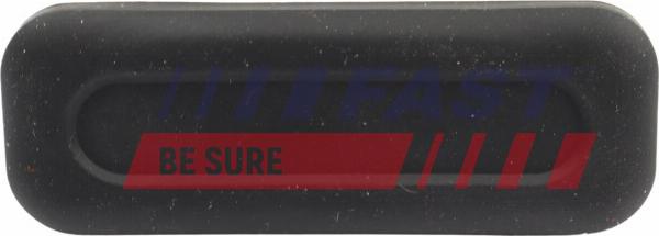 Fast FT00476 - Ручка задніх дверей autocars.com.ua