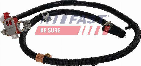 Fast FT01798 - Адаптер акумуляторної батареї autocars.com.ua