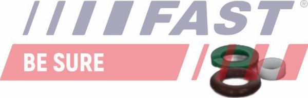 Fast FT01835 - Ремкомплект, насос-форсунка autocars.com.ua