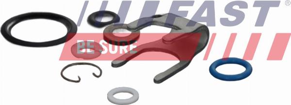 Fast FT01838 - Ремкомплект, насос-форсунка autocars.com.ua