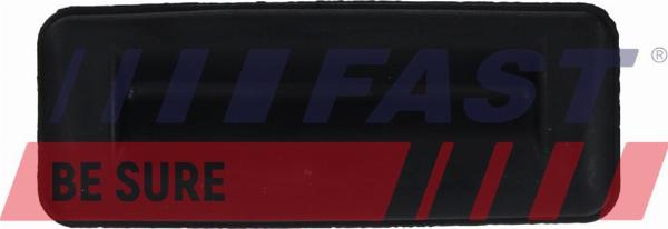 Fast FT02209 - Вимикач, замок задніх дверей autocars.com.ua