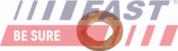 Fast FT02334 - Шайба теплового захисту, система уприскування autocars.com.ua