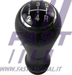 Fast FT09030 - Ручка важеля перемикання передач autocars.com.ua