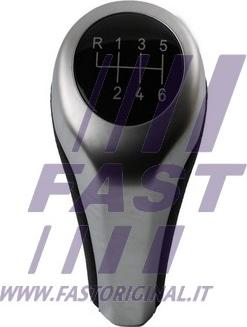 Fast FT09042 - Ручка важеля перемикання передач autocars.com.ua