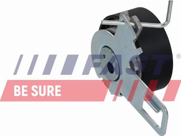 Fast FT10012 - Натяжна ролик, ремінь ГРМ autocars.com.ua