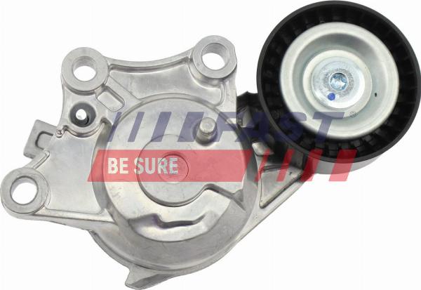 Fast FT10013 - Натягувач ременя, клинові зуб. autocars.com.ua