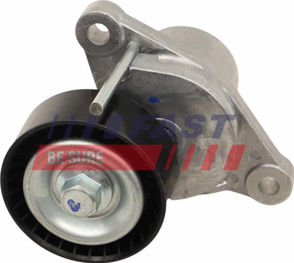 Fast FT10014 - Натягувач ременя, клинові зуб. autocars.com.ua