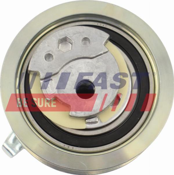 Fast FT10034 - Натяжна ролик, ремінь ГРМ autocars.com.ua