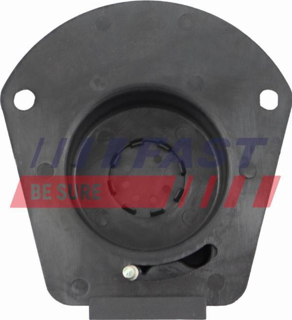 Fast FT10143 - Ручка двері autocars.com.ua