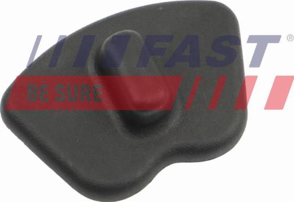 Fast FT10196 - Ручка двері autocars.com.ua