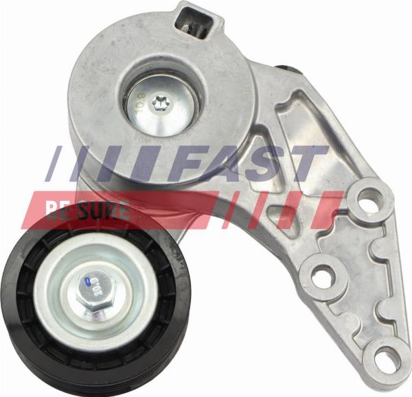 Fast FT10412 - Натяжна ролик, клиновий ремінь autocars.com.ua