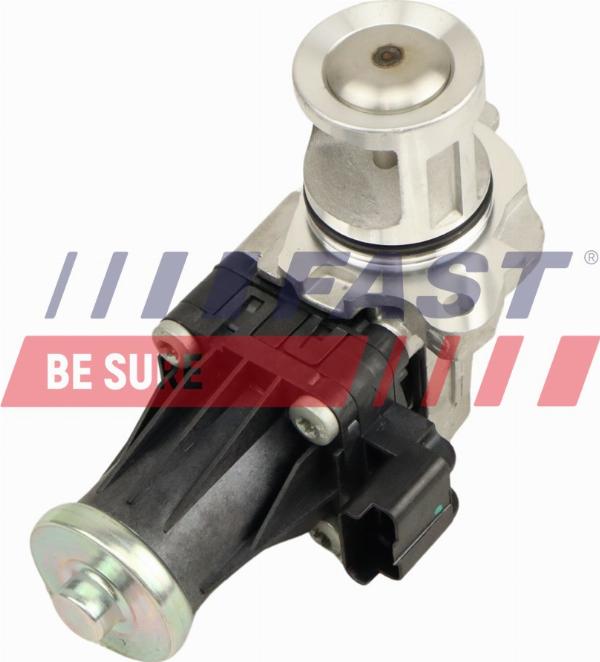 Fast FT10615 - Клапан повернення ОГ autocars.com.ua