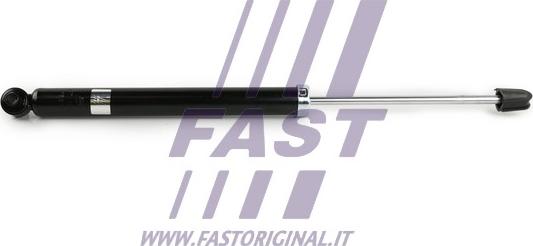 Fast FT11074 - Амортизатор autodnr.net