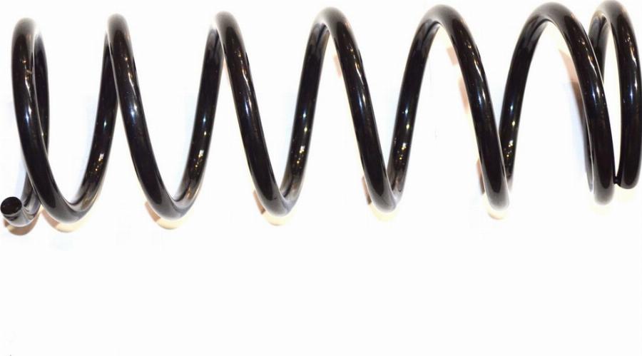 Fast FT12210 - Пружина ходової частини autocars.com.ua