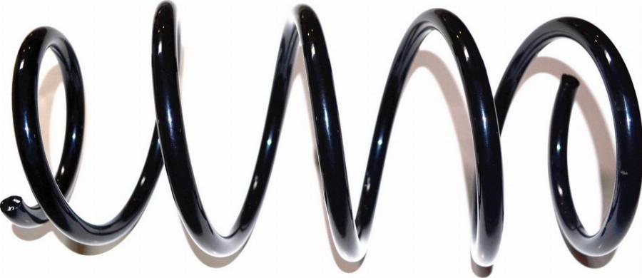 Fast FT12248 - Пружина ходової частини autocars.com.ua