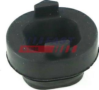 Fast FT13061 - Підвіска, радіатор autocars.com.ua