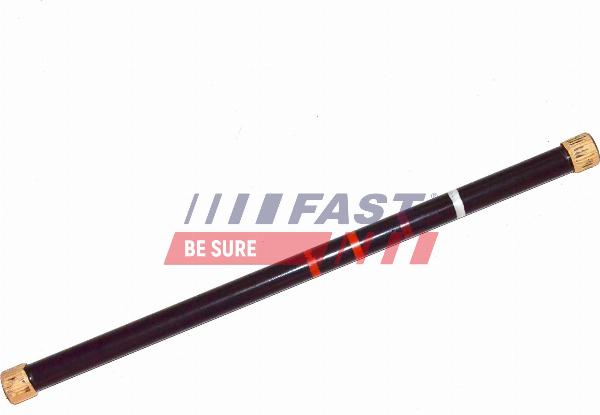 Fast FT13525 - Несучий важіль, торсион autocars.com.ua