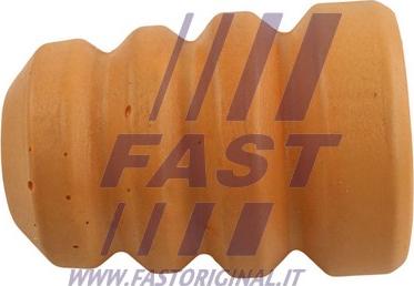 Fast FT18113 - Пилозахисний комплект, амортизатор autocars.com.ua