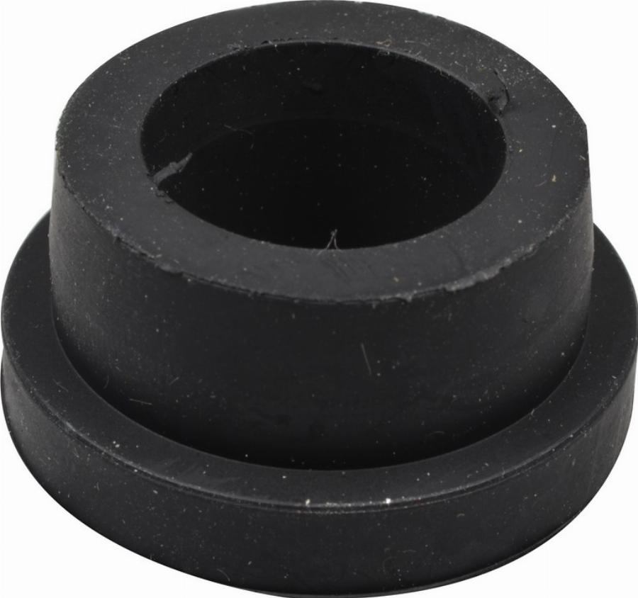 Fast FT18394 - Втулка, листова ресора autocars.com.ua