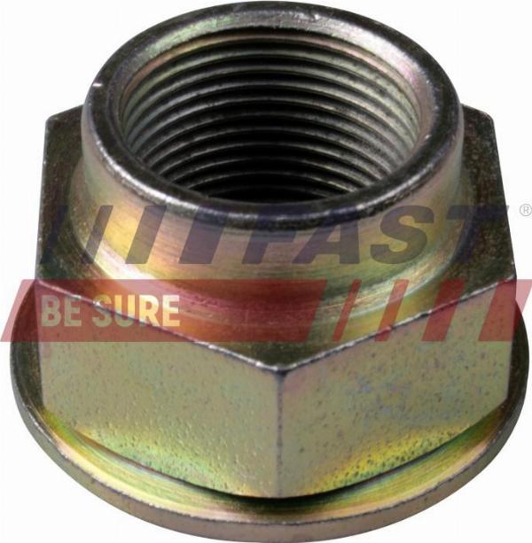 Fast FT26027 - Гайка, шийка осі autocars.com.ua