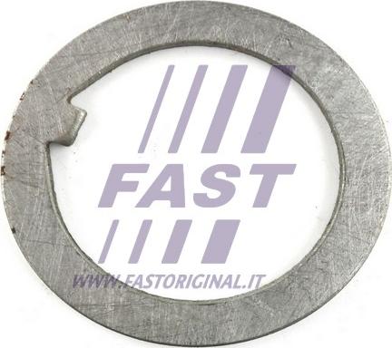 Fast FT26038 - Подкладная пластина, фланец приводного вала autodnr.net