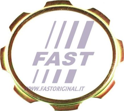 Fast FT26040 - Подкладная пластина, фланец приводного вала avtokuzovplus.com.ua