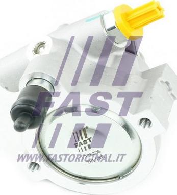 Fast FT36206 - Гидравлический насос, рулевое управление, ГУР autodnr.net