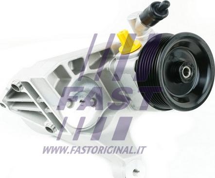 Fast FT36220 - Гидравлический насос, рулевое управление, ГУР avtokuzovplus.com.ua