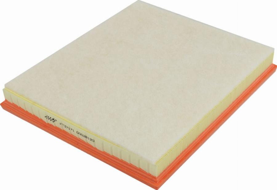 Fast FT37171 - Повітряний фільтр autocars.com.ua