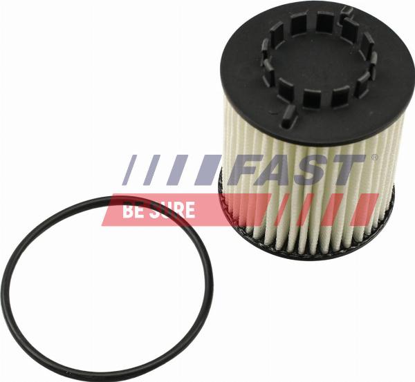 Fast FT38023 - Масляний фільтр autocars.com.ua