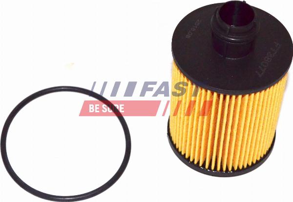 Fast FT38077 - Масляний фільтр autocars.com.ua