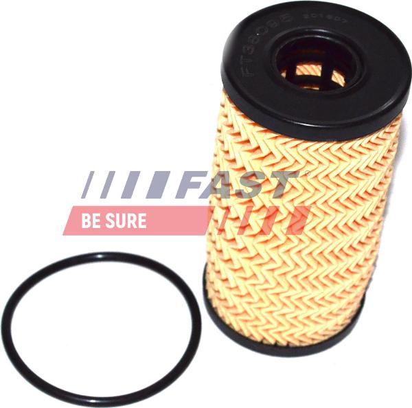 Fast FT38095 - Масляний фільтр autocars.com.ua