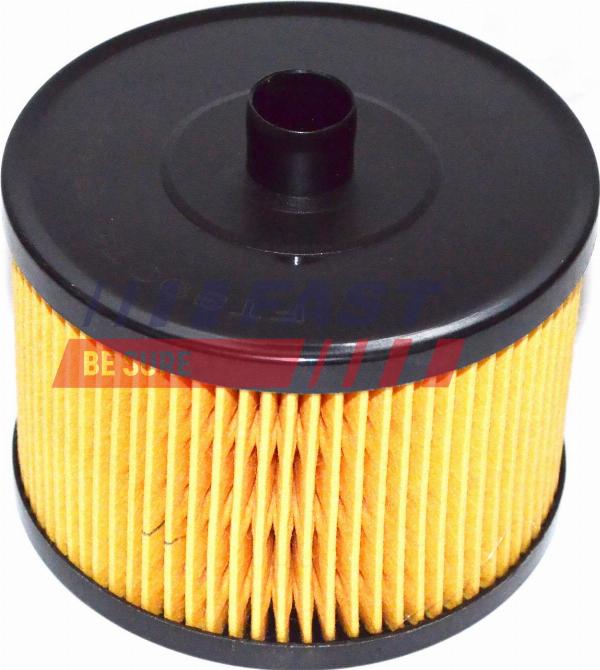 Fast FT39076 - Паливний фільтр autocars.com.ua