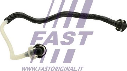 Fast FT39569 - Топливный шланг autodnr.net