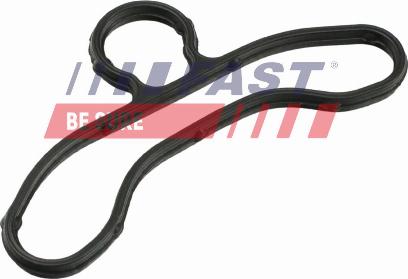 Fast FT41604 - Прокладка, картер рульового механізму autocars.com.ua