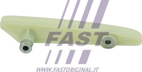 Fast FT41704 - Планка заспокоювача, ланцюг приводу autocars.com.ua
