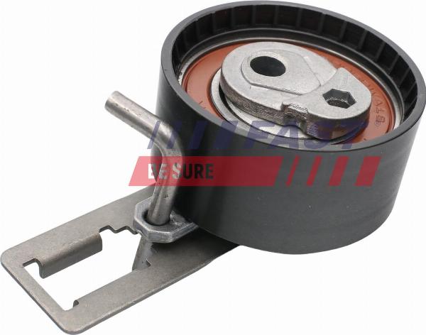 Fast FT44013 - Натяжна ролик, ремінь ГРМ autocars.com.ua